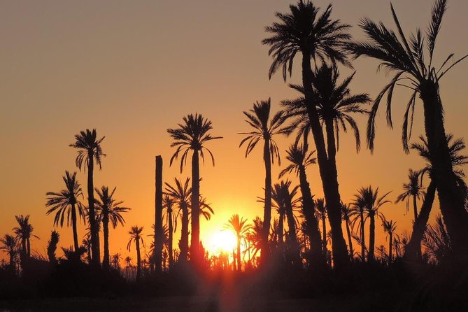 Sunset Camel Ride in the Palm Grove Marrakech - Booking Information