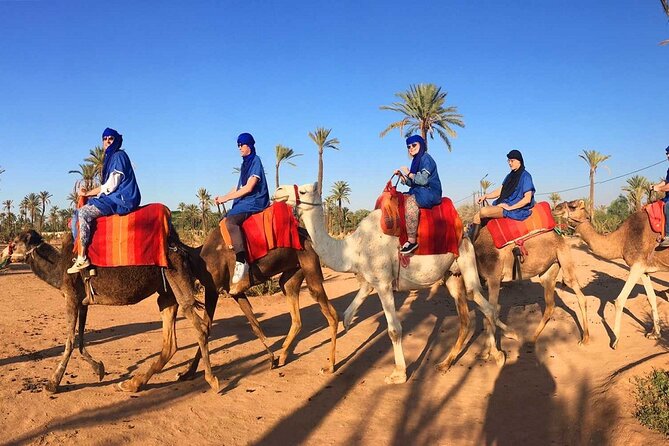 Sunset Camel Ride in the Palm Grove of Marrakech - Location and Duration
