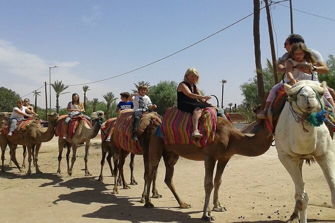 Sunset Camel Ride in the Palm Grove of Marrakech - Cancellation Policy and Booking