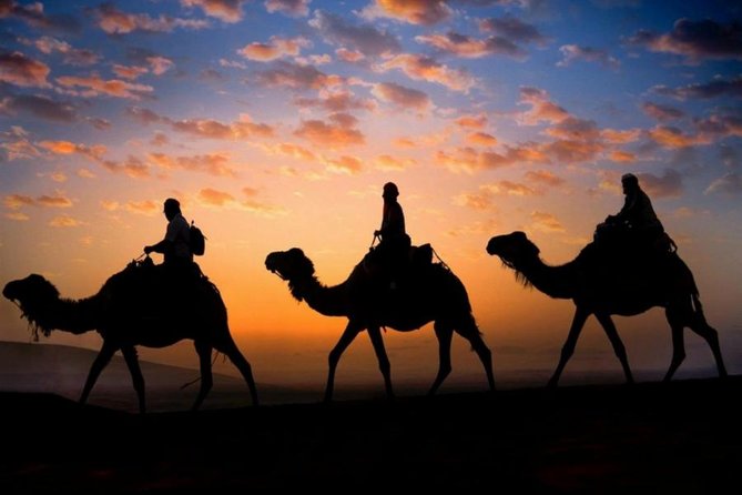 Sunset Camel Ride in the Palm Grove of Marrakech - Pickup Information and Accessibility