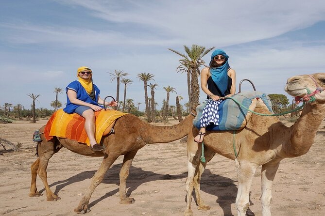 Sunset Camel Ride in the Palm Grove of Marrakech - Child Policy and Health Advisory