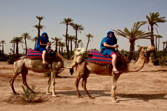 Sunset Camel Ride in the Palm Grove of Marrakech - Precautions and Booking Options