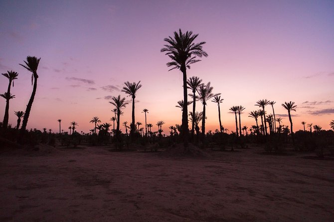 Sunset Camel Ride in the Palm Groves of Marrakech - Common Questions