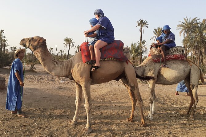 Sunset Camel Ride in the Palmeraie With Transfers - Directions