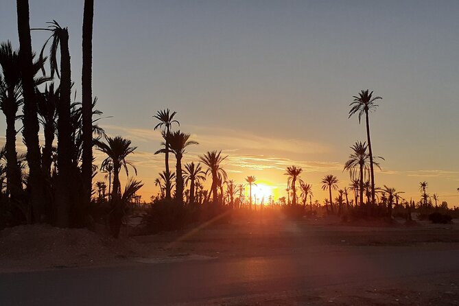 Sunset Camel Ride in the Palmeraie With Transfers - The Sum Up