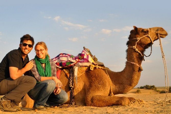 Sunset Camel Ride Including BBQ Dinner From Ras Al Khaimah - Desert Camel Ride
