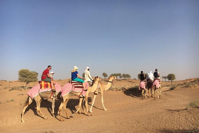 Sunset Camel Ride Including BBQ Dinner From Ras Al Khaimah - Sunset Photos