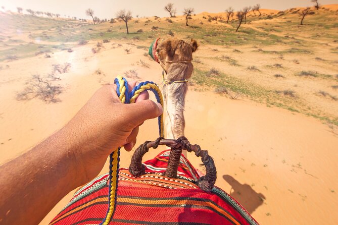 Sunset Camel Ride Including BBQ Dinner From Ras Al Khaimah - Additional Information