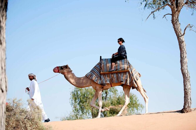 Sunset Camel Ride Including BBQ Dinner From Ras Al Khaimah - Common Questions