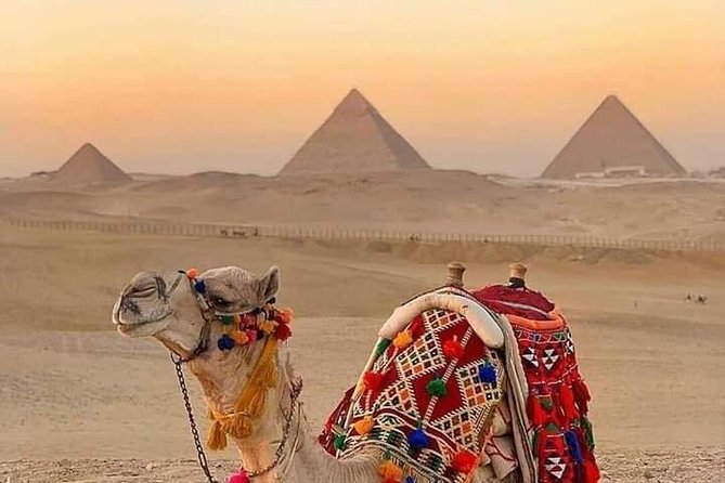 Sunset Camel Ride Including Local BBQ Dinner at the Pyramids - Inclusions and Pickup Details
