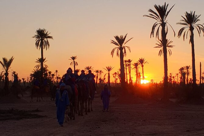 Sunset Camel Ride Marrakech Palmeraie - Traveler Photos