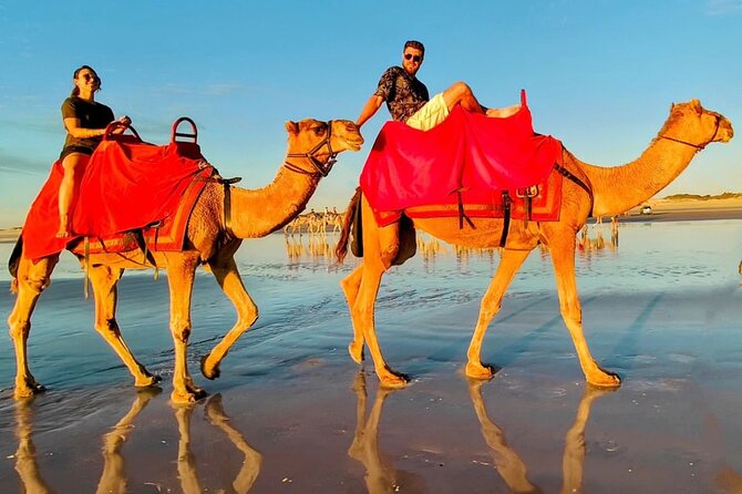 Sunset Camel Ride on Achakkar Beach Including Traditional Dinner - Tour Inclusions and Exclusions