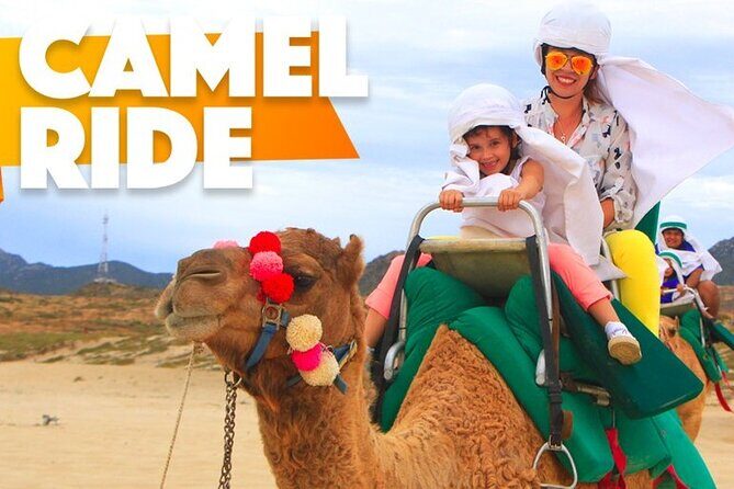 Sunset Camel Ride Tour - Sunset Camel Ride Tour: An Authentic Adventure in San Jose del Cabo