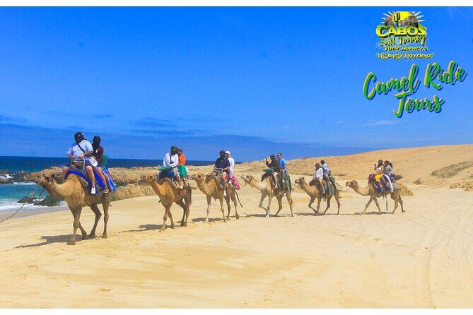 Sunset Camel Ride Tour - Who Should Consider This Tour?