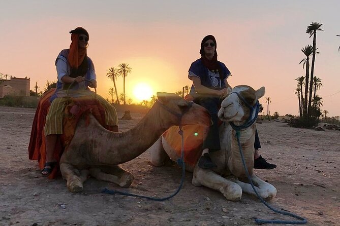 Sunset Camel Ride Tour in Marrakech Palm Grove - Pricing and Booking