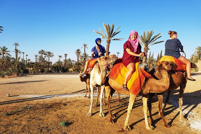 Sunset Camel Ride Tour in Marrakech Palm Grove - Tour Details