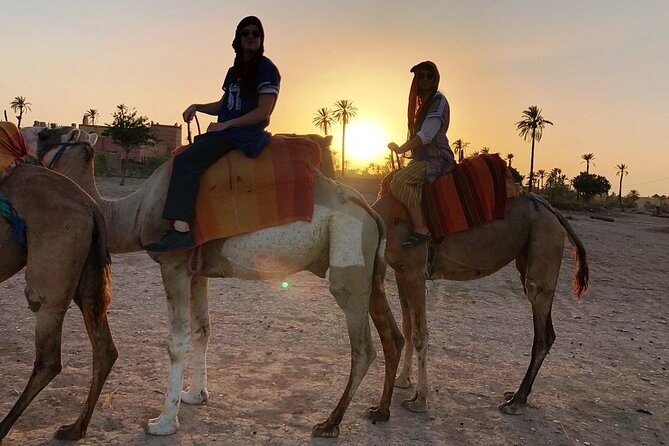 Sunset Camel Ride Tour in Marrakech Palm Grove - Cancellation Policy
