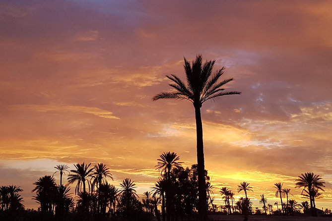 Sunset Camel Ride Tour in Marrakech Palm Grove - Common Questions