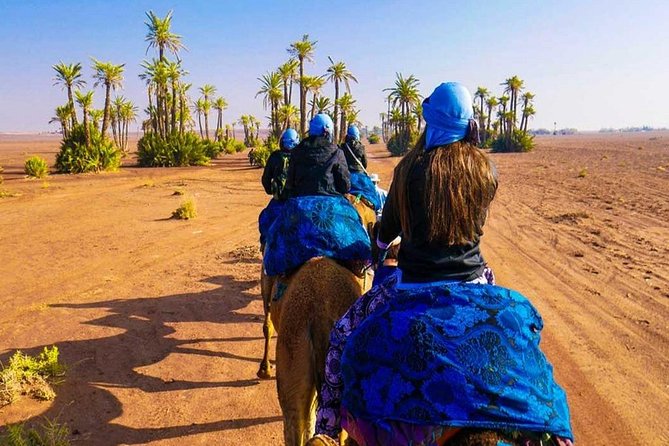 Sunset Camel Ride Tour In Marrakech Palm Groves - Good To Know