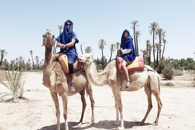 Sunset Camel Ride Tour In Marrakech Palm Groves - Inclusions