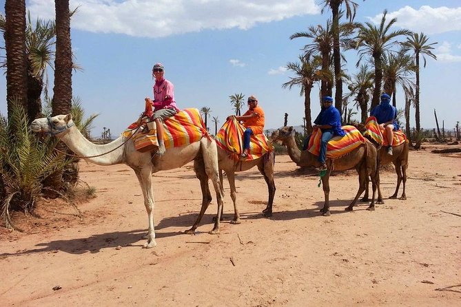Sunset Camel Ride Tour In Marrakech Palm Groves - Additional Information