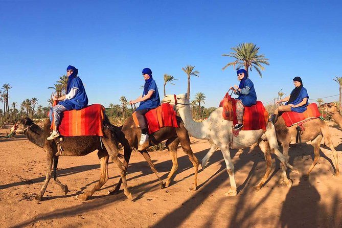 Sunset Camel Ride With Tea Break in the Palm Grove of Marrakech - Operator Information