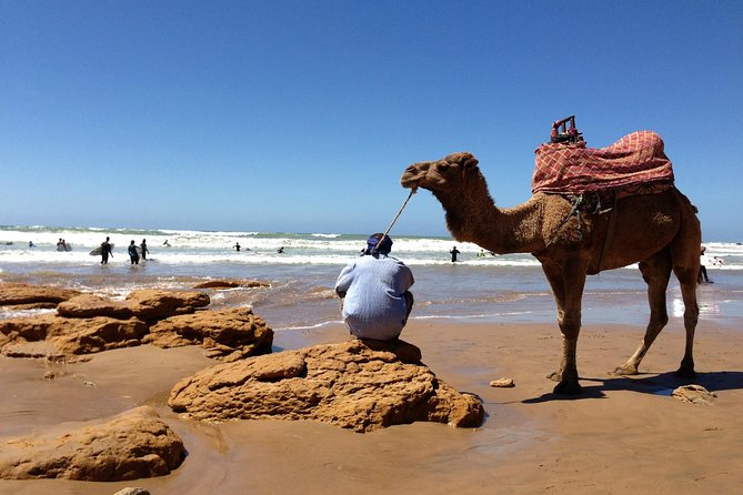 Sunset Camel Riding + Barbecue B&B Grill With Abdo - Location and Pricing