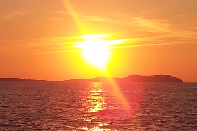 Sunset Catamaran Expedition in Front of Cafe Mambo - Common Questions