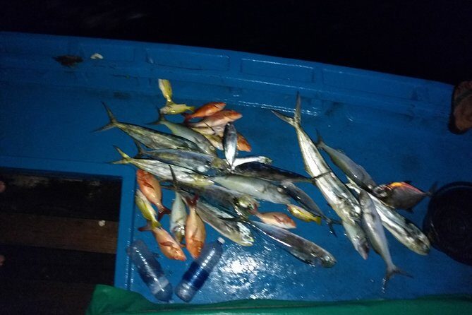 Sunset Cruise and Night Fishing in Dhiffushi - What Reviewers Have Said