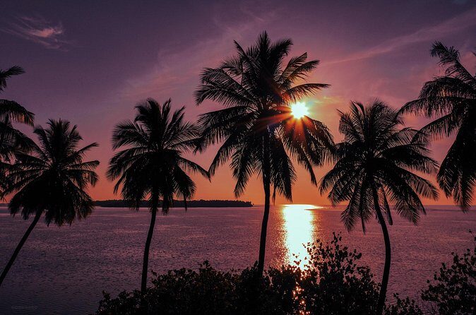 Sunset Cruise and Night Fishing in Dhiffushi - The Sum Up