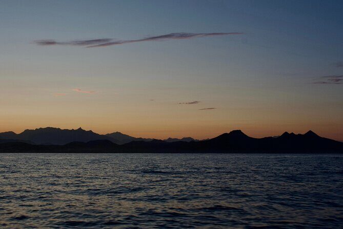 Sunset Cruise in San Jose del Cabo - A Close Look at the Itinerary