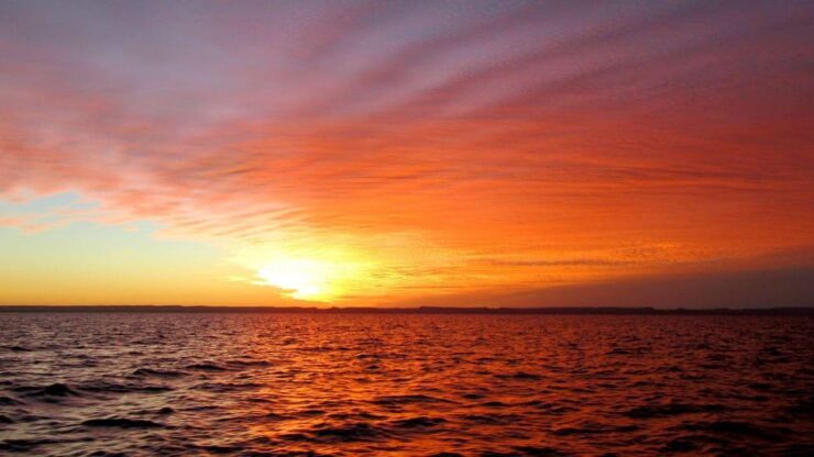 Sunset Cruise in San Jose Del Cabo - Good To Know