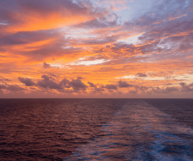 Sunset Cruise in San Jose Del Cabo - Booking and Pricing