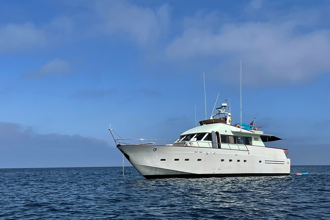 Sunset Cruise Lisbon VIP Yacht Lisbon Party - End Point and Cancellation Policy