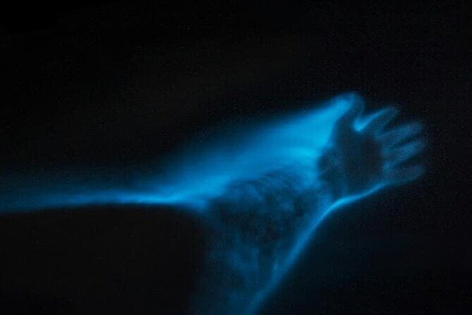 Sunset Cruise Negril Rafting and Luminous Lagoon 3 day Excursion - The Value of This Tour