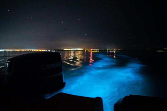 Sunset Cruise Negril Rafting and Luminous Lagoon 3 day Excursion - Who Should Book This Tour?