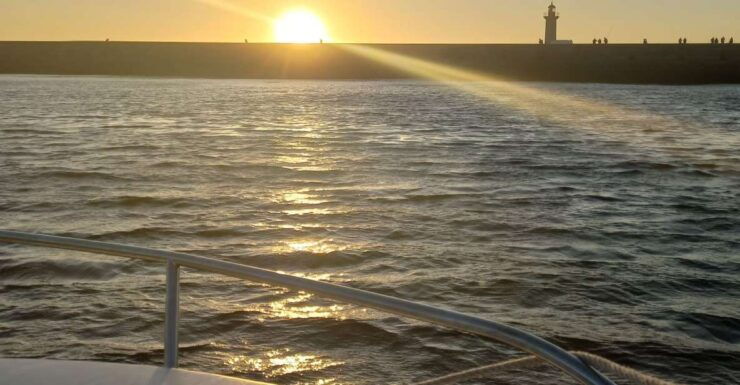 Sunset Cruise on the Douro River - Highlights of the Sunset Cruise