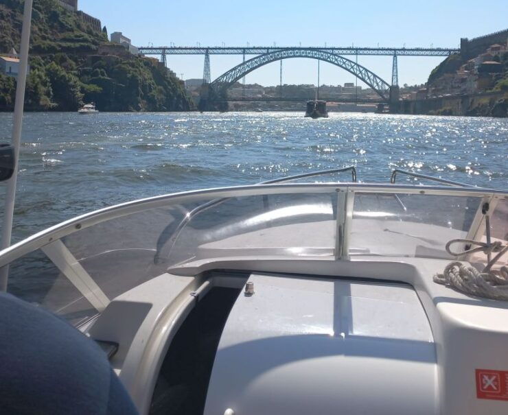 Sunset Cruise on the Douro River - Experience on the Douro River