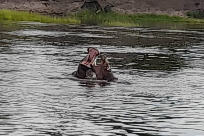 Sunset Cruises on the Zambezi River - Good To Know