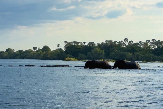 Sunset Cruises on the Zambezi River From Victoria Falls - Reviews
