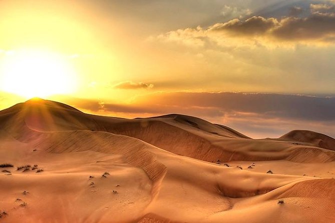 Sunset Desert Safari Buffet Dinner and More - The Sum Up