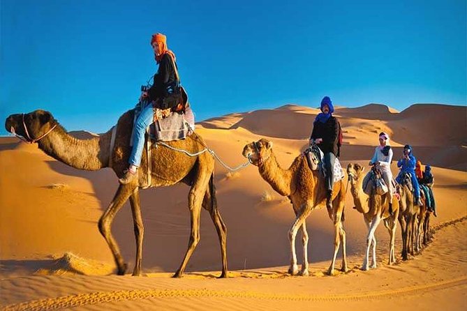 Sunset Desert Safari Dubai With 4x4 Dune Bashing - How to Book Sunset Desert Safari Dubai