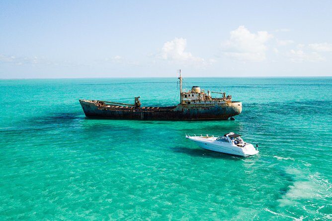 Sunset Dinner Cruise Private Group - The Experience: What Travelers Say