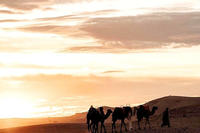 Sunset & Dinner in Desert Agafay Marrakech With Camels - Additional Information