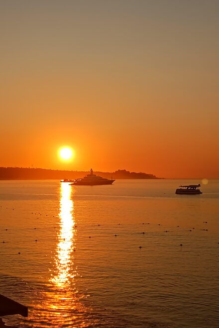 Sunset Dinner Tour - Dinner Cruise Experience