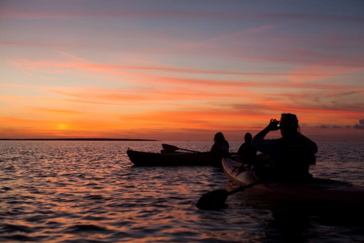 Sunset Dolphin & Bioluminescent Comb Jelly Tour Florida - Booking Information