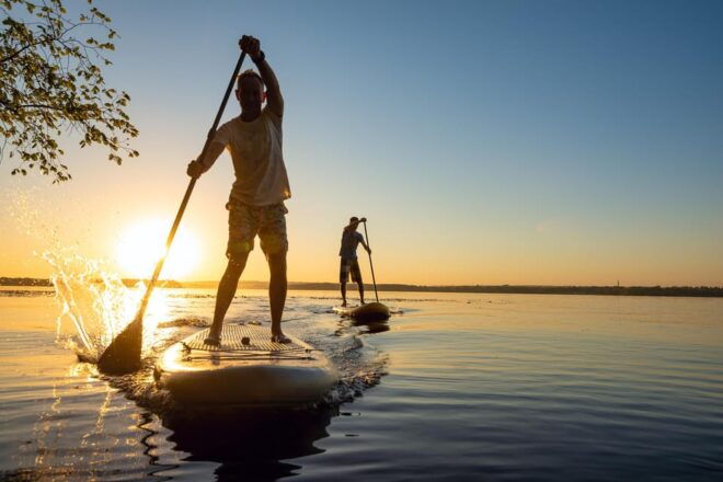 Sunset Dolphin & Bioluminescent Comb Jelly Tour Florida - Witnessing Sunset Views
