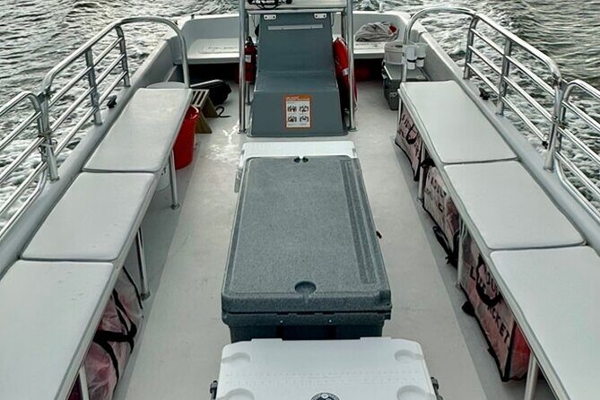 Sunset Dolphin Cruise (options for public of private) - FAQ