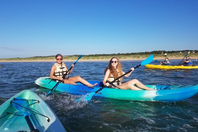 Sunset Dolphin Kayak Tours - Abundance of Dolphins