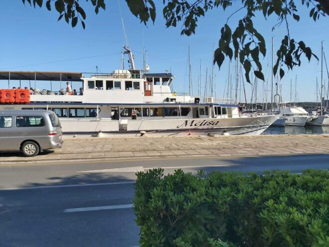 SUNSET DOLPHIN WATCHING BOAT TOUR - Educational Opportunities